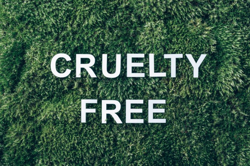 Choosing Products From Cruelty-Free Brands